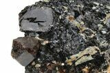 Fluorescent Zircon Crystals in Biotite Schist - Norway #228212-2